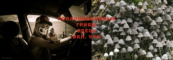 ешки Абдулино