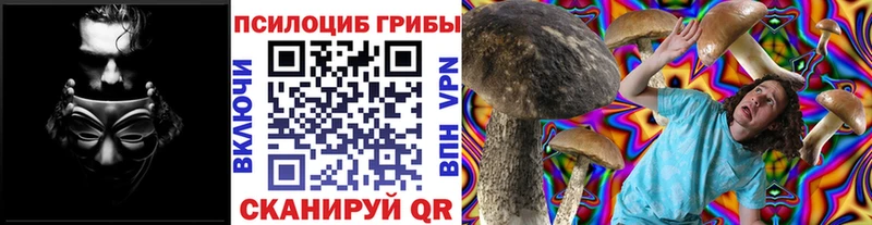 даркнет сайт  Пойковский  Псилоцибиновые грибы прущие грибы 